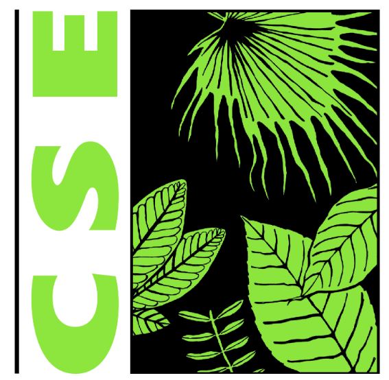 CSE India’s New Report Shows How Global South Can Minimize the CBAM Impact